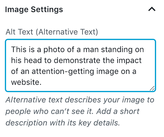 Image of Alt Text setting showing how to add images to a WordPress website