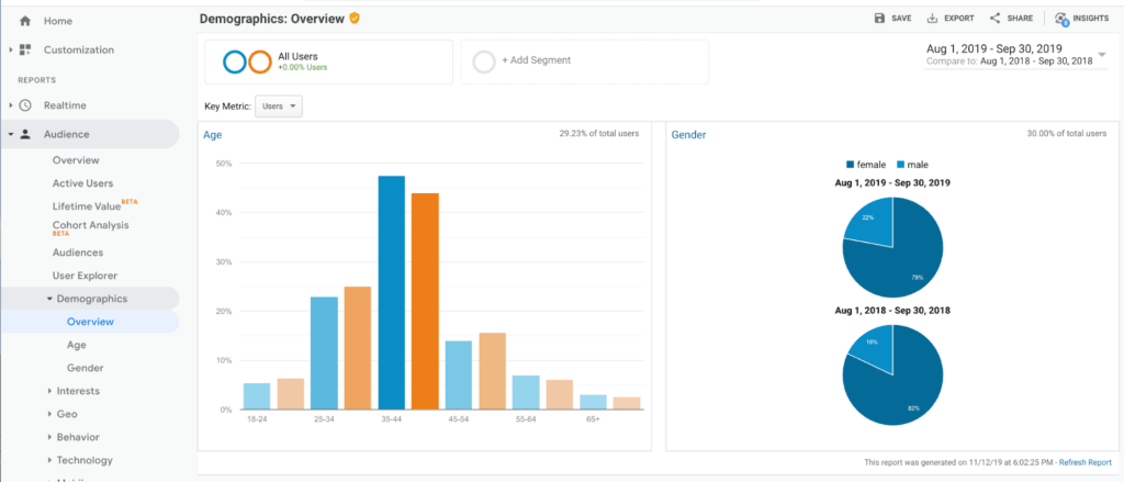 Google Analytics Demographic Report